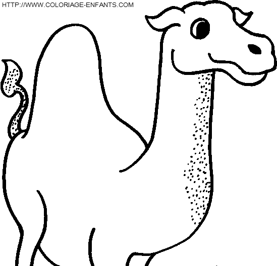 dibujo Camellos