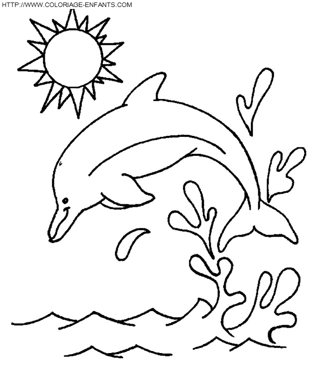 dibujo Delfines
