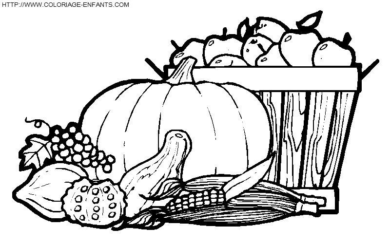 Dibujo Thanksgiving A Colorear Paginas De Dibujos Fiestas Para Los