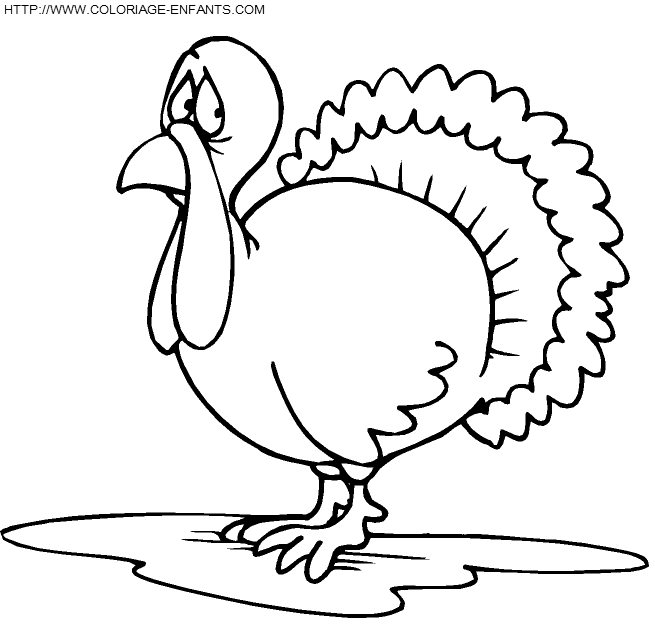 dibujo Thanksgiving
