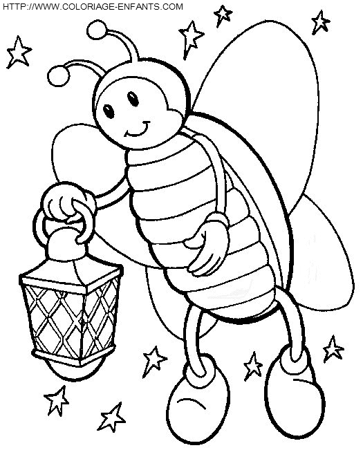 dibujo Insectos