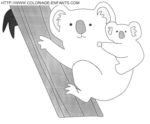 dibujo Koalas
