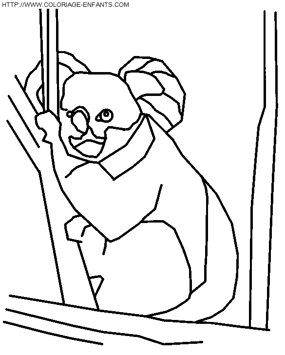 dibujo Koalas