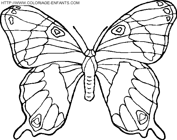 dibujo Mariposas