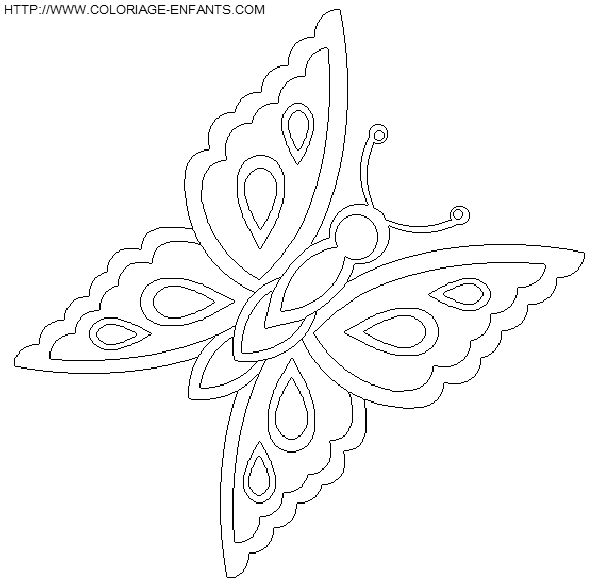 dibujo Mariposas