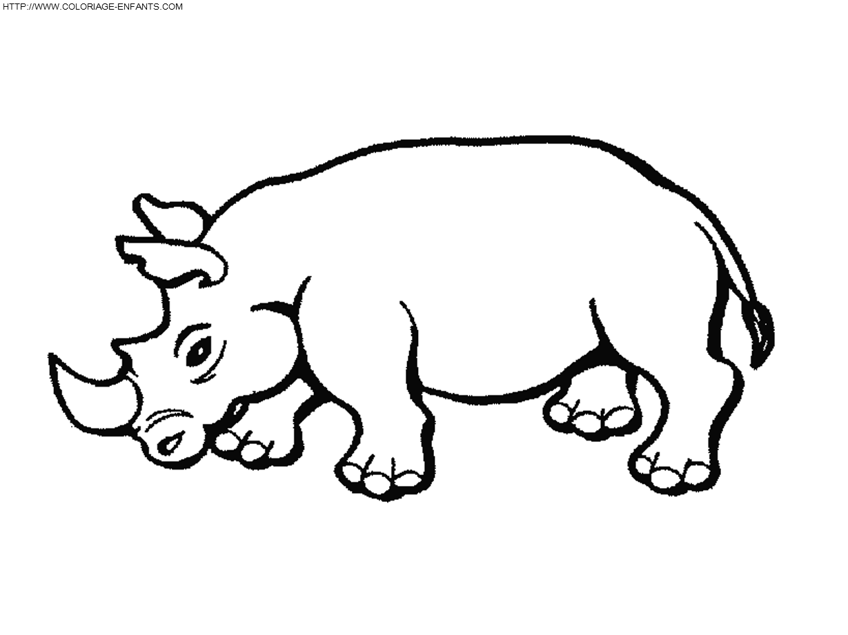 dibujo Rhinoceros