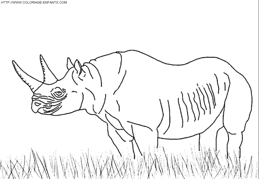 dibujo Rhinoceros