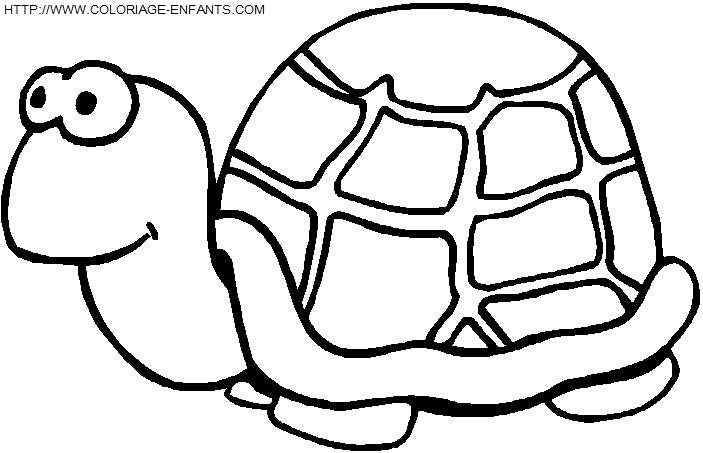 dibujo Tortugas