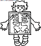 dibujo cuerpo humano