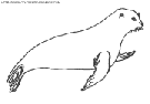 dibujo leones-marinos