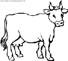 dibujo vacas