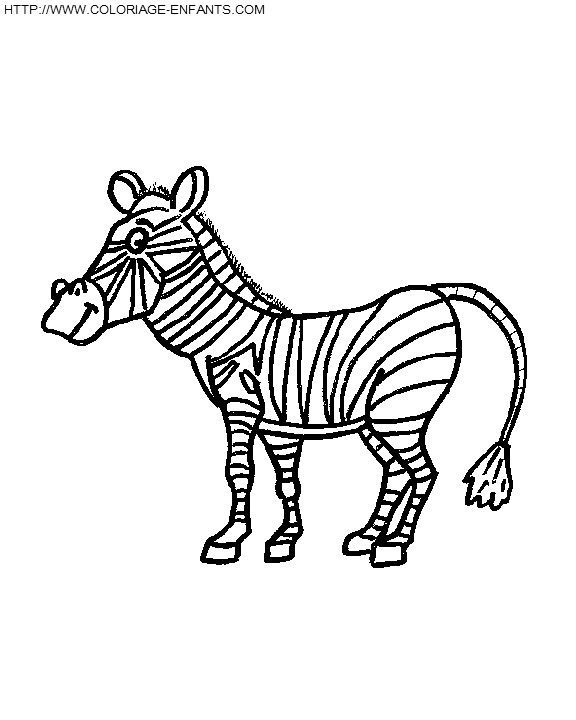 dibujo Zebras